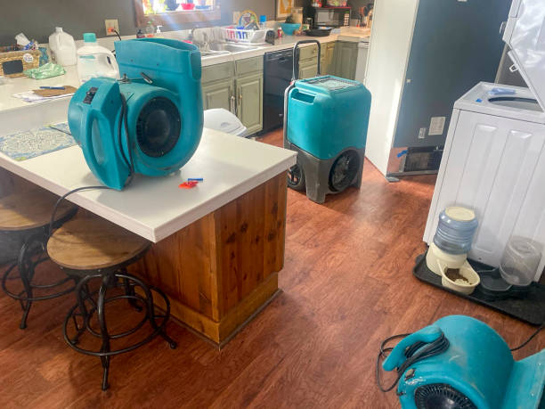 Best Water damage restoration near me  in East Highland Park, VA