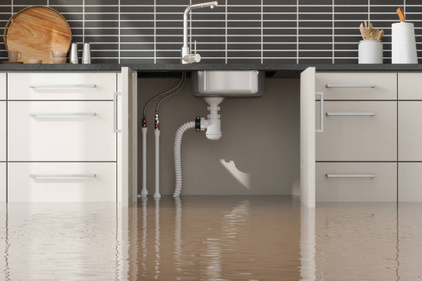 Fire Damage Restoration in East Highland Park, VA